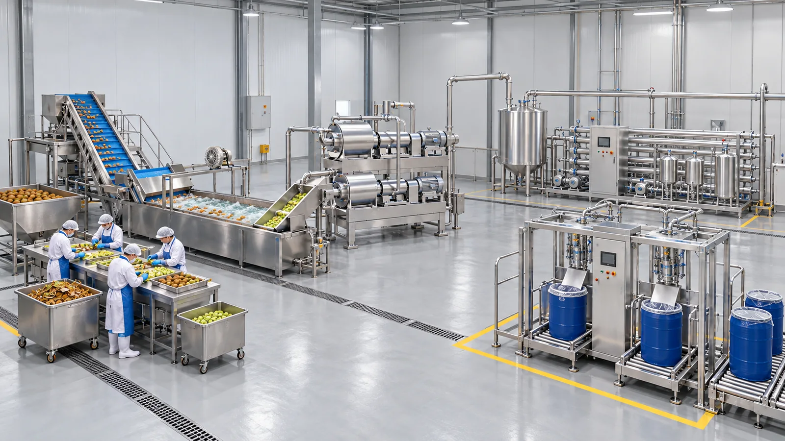 Conceptual process visualization of a kiwifruit puree processing line in a functional factory layout
