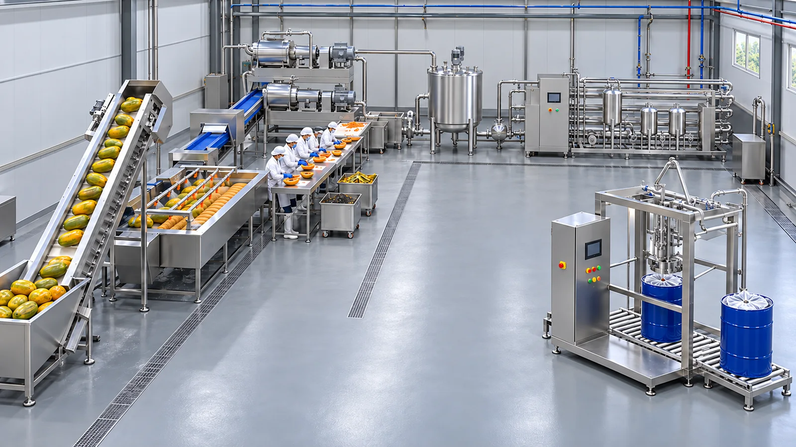 Conceptual factory layout of a papaya puree line, from the receiving elevator and brush washer through manual flesh preparation, two-stage pulping, buffered tubular treatment and aseptic drum filling.
